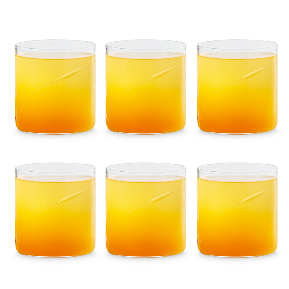 Borosil Swirl Cut Glass, Set of 6