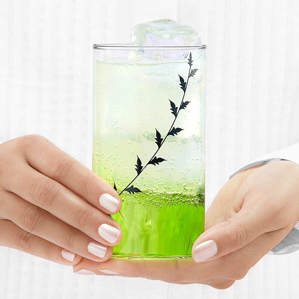 Borosil Black Krip Glass