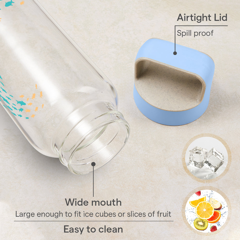 Borosil Marina Glass Bottle w Husk Lid, 750ml
