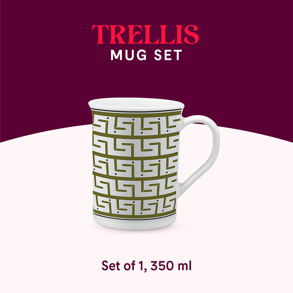 Larah by Borosil Trellis Mug 350 ml