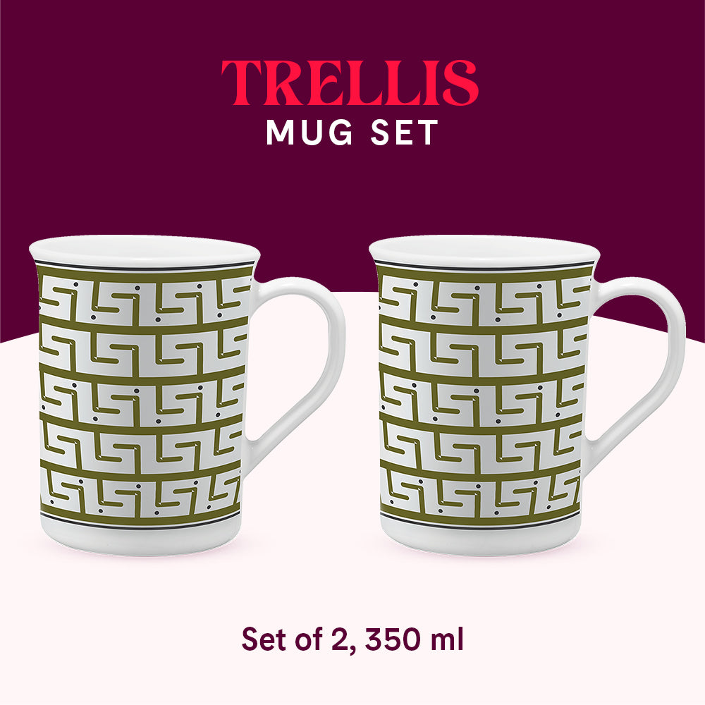 Larah by Borosil Trellis Mug Set 350 ml x 2