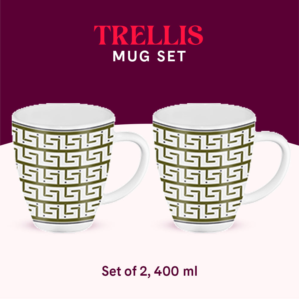 Larah by Borosil Trellis Mug Set 400 ml x 2