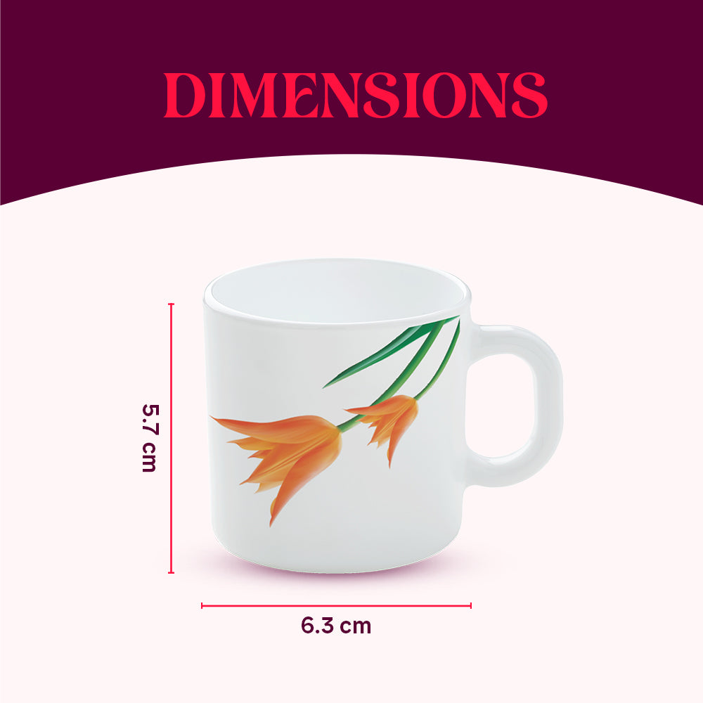 Larah by Borosil Firefly Mug Set 100 ml x 6
