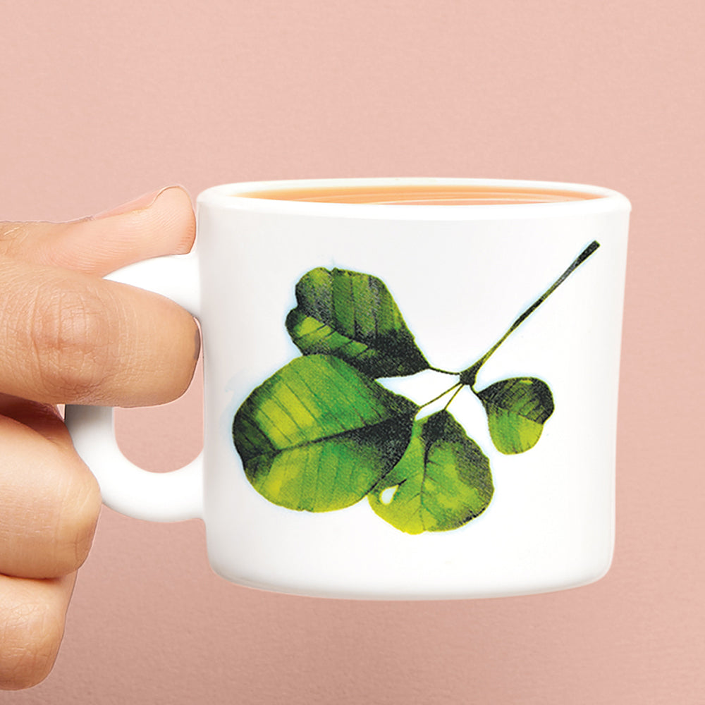 Larah by Borosil Oval Mug Set 100 ml x 6
