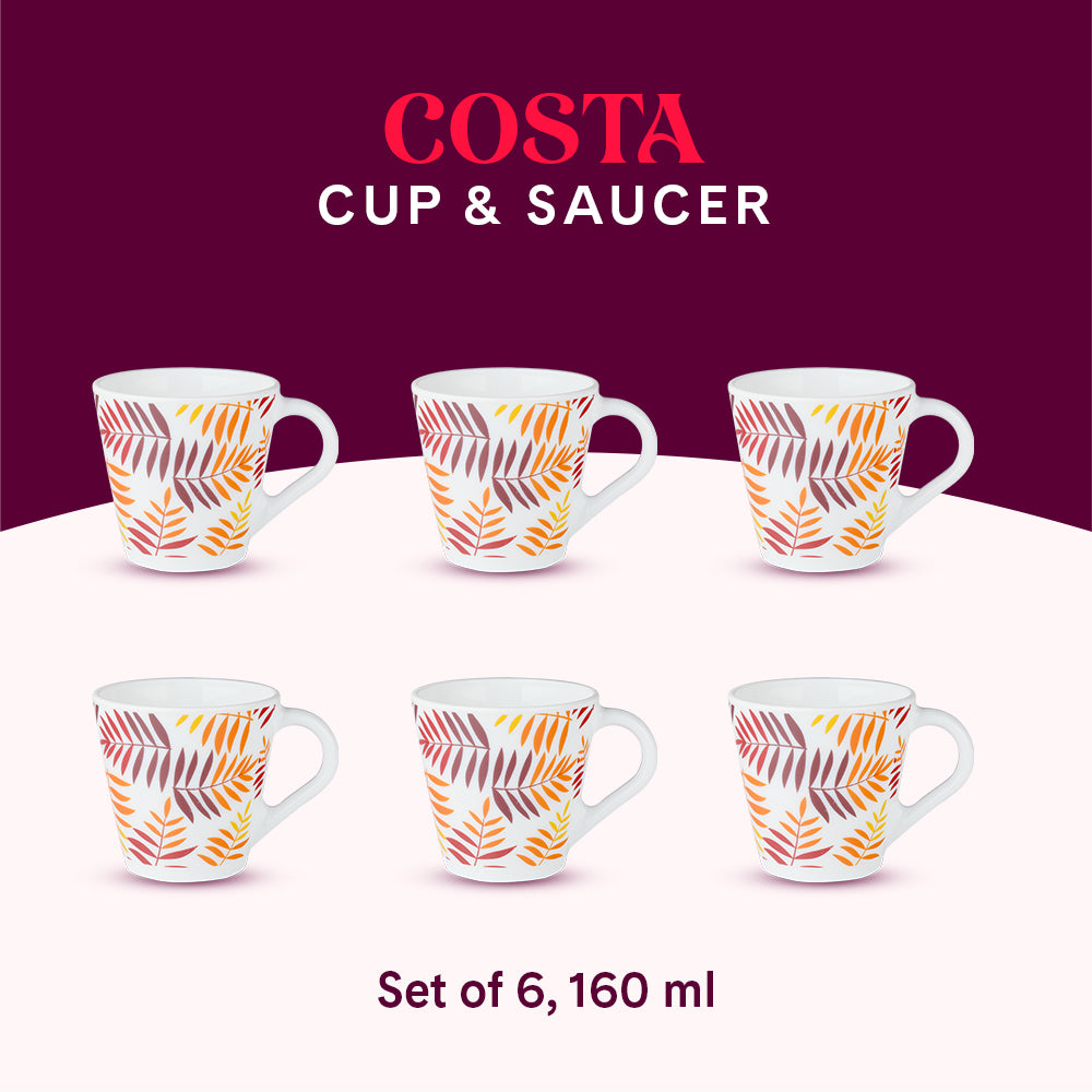 Larah by Borosil Novelty Costa Mug Set 160 ml x 6