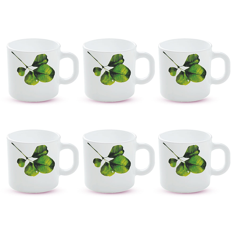 Larah by Borosil Oval Mug Set 180 ml x 6