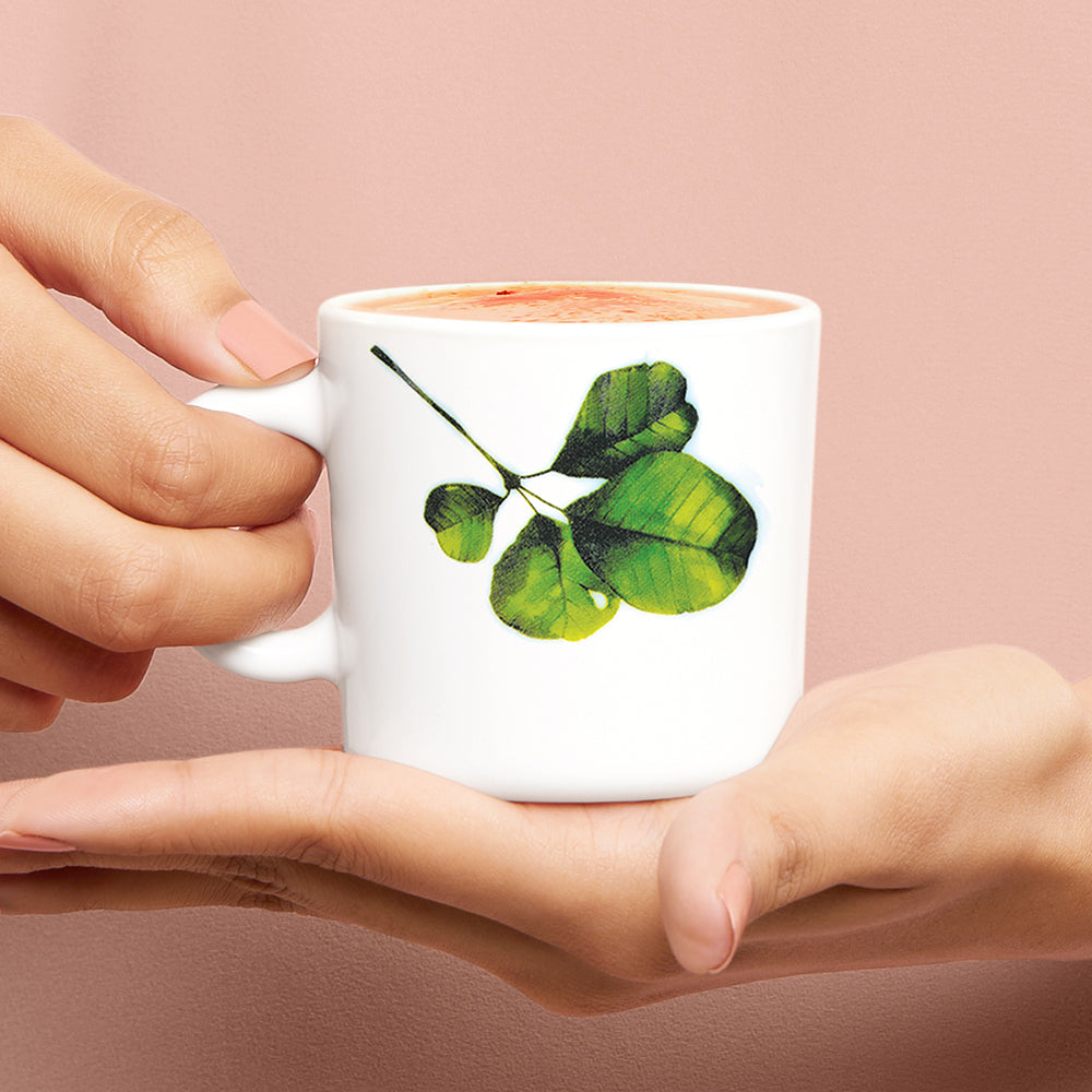 Larah by Borosil Oval Mug Set 180 ml x 6