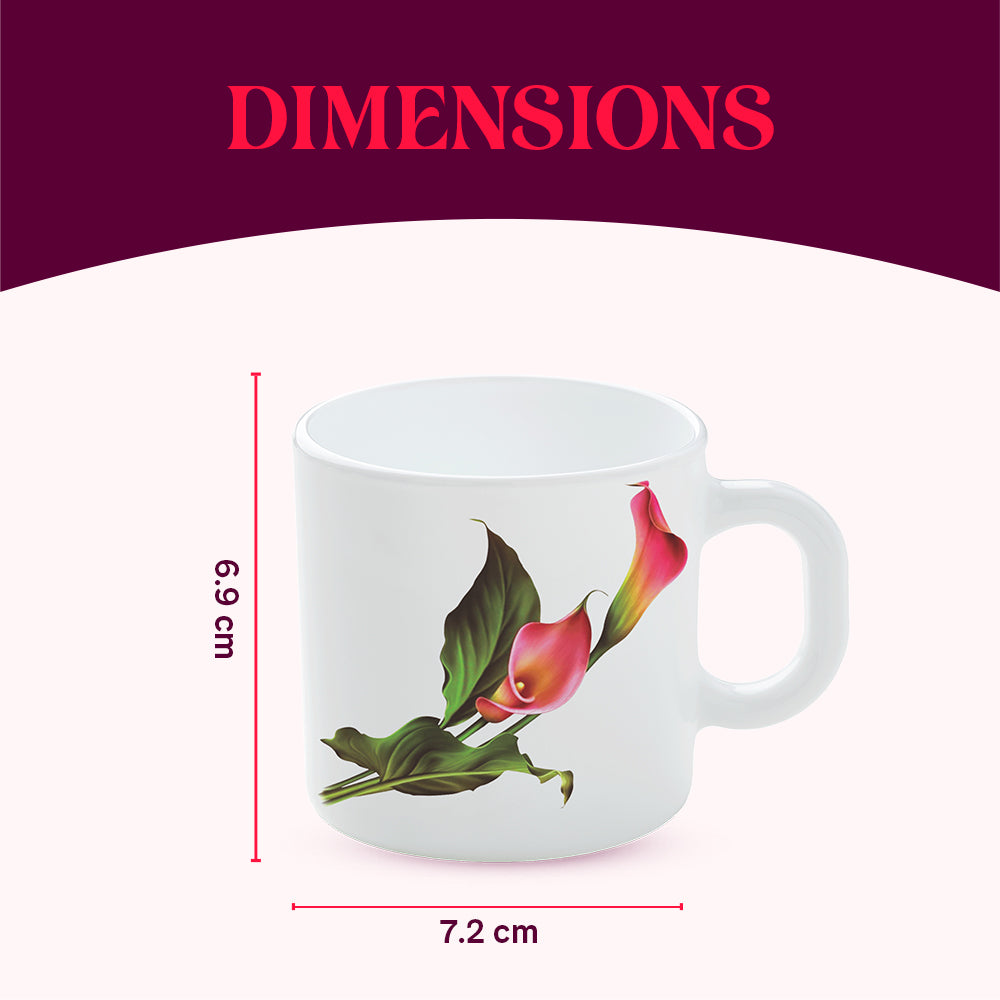 Larah by Borosil Stargazer Mug Set 180 ml x 6