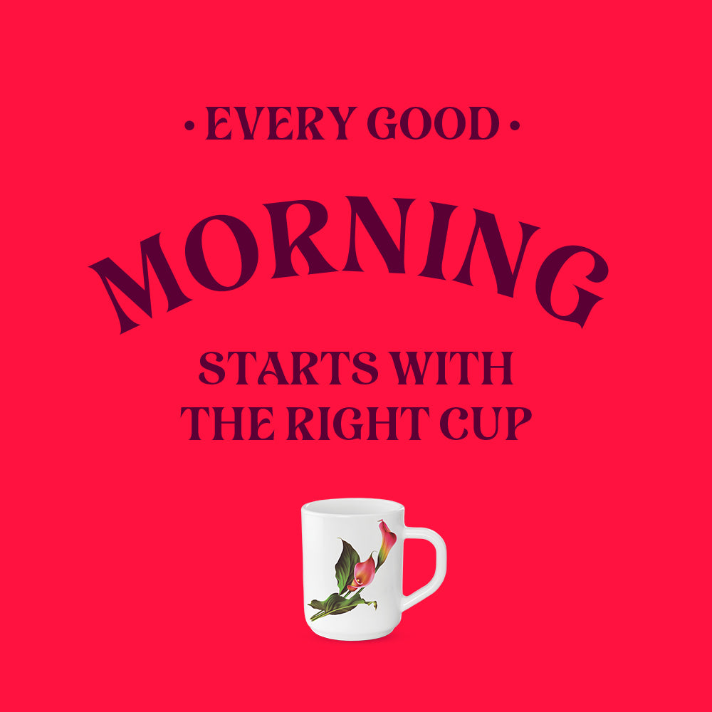 Larah by Borosil Stargazer Mug Set 240 ml x 6