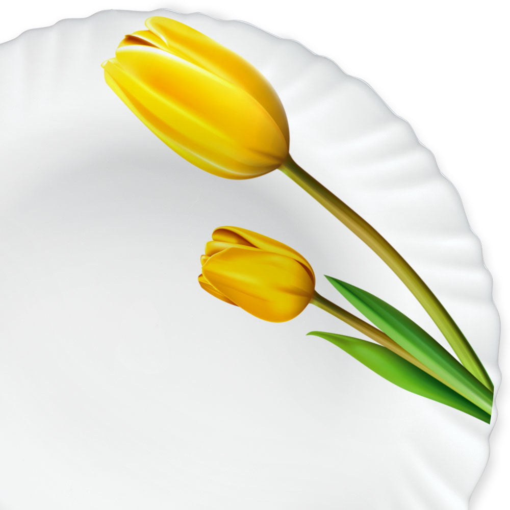 Larah by Borosil Lyana Dinner Set, 13 pc