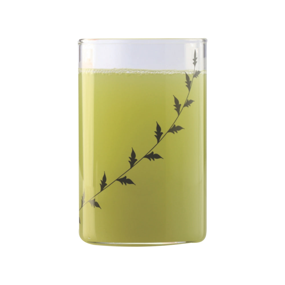 Borosil Black Krip Glass, Set of 6, 350ml