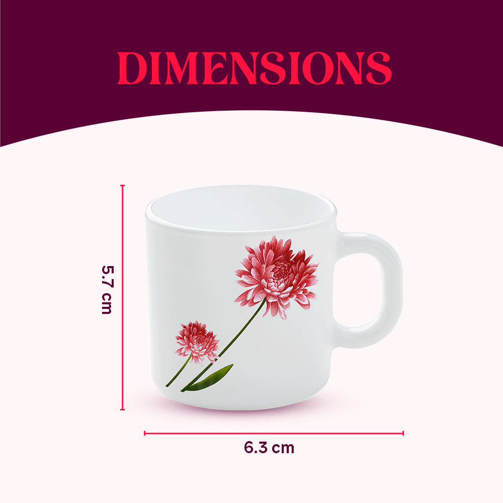 Larah by Borosil Belle Mug Set, 240ml x 2
