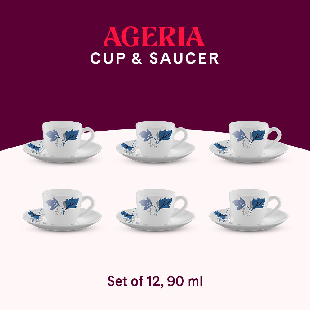 Larah by Borosil Ageria Cup n Saucer Set, 220ml x 12