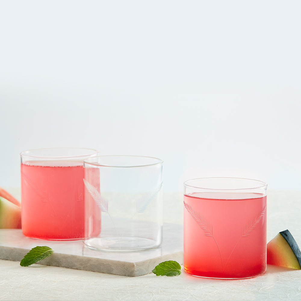 My Borosil Glass Tumblers 305 ml x 6 Fern Glass, Set of 6