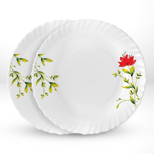 My Borosil Plate Sets 2 pc Set Oriental Noodle / Soup Plate Set