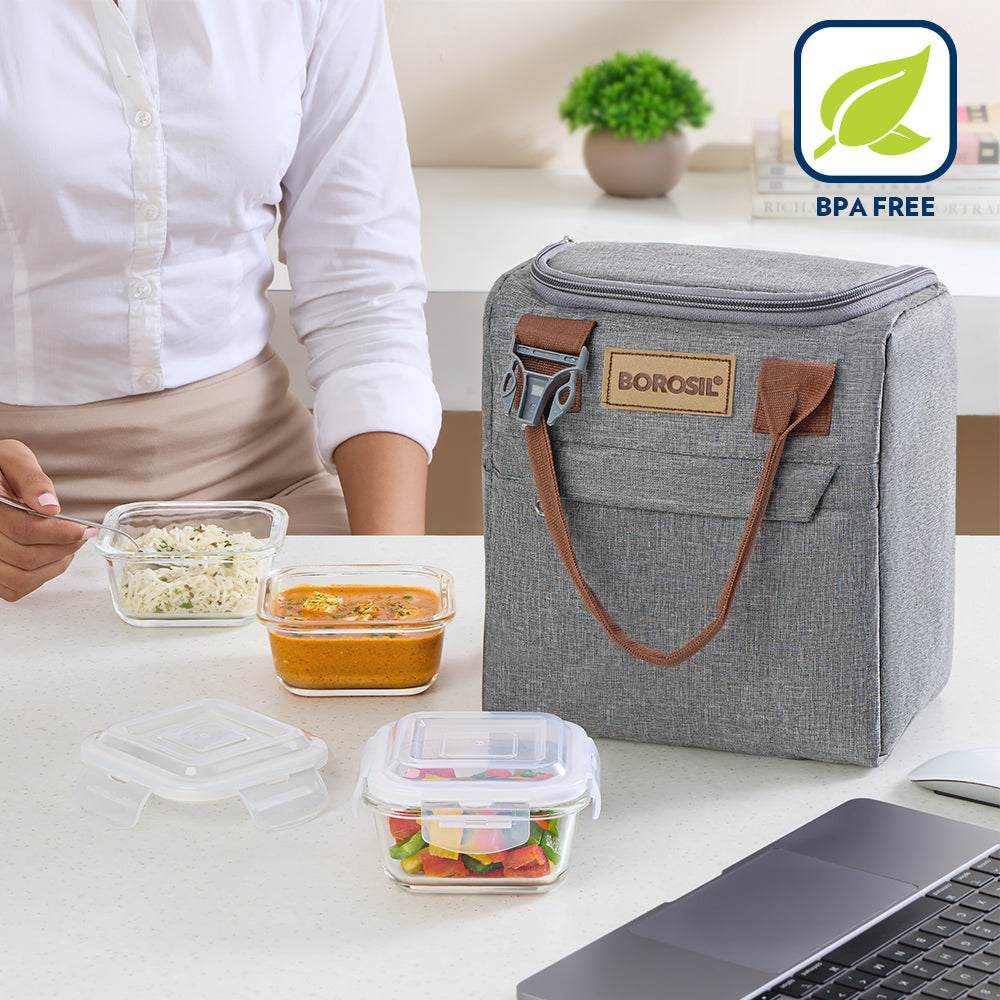Borosil Gourmet Lunch Box Set