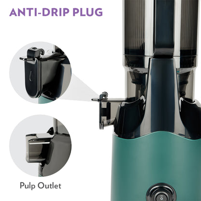 Vita Rich Slow Juicer