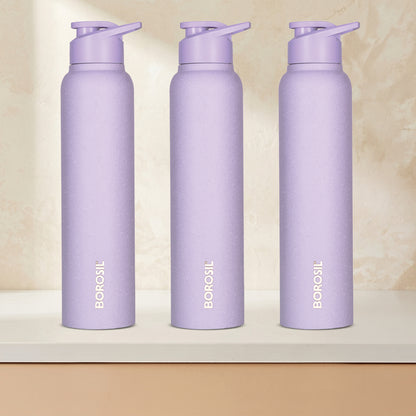 Cosmo SS Single Wall Bottle Set, Purple