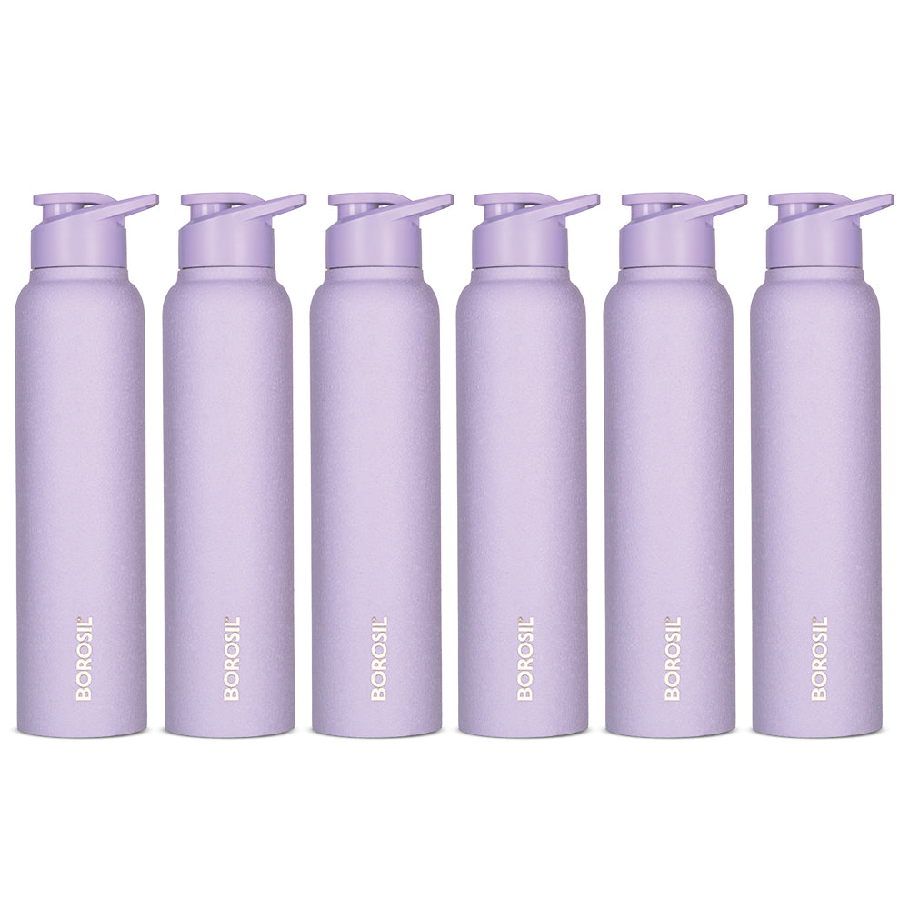 Cosmo SS Single Wall Bottle Set, Purple