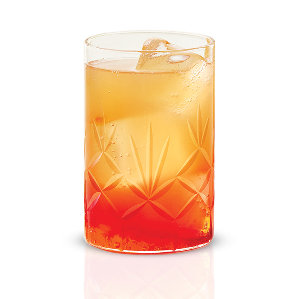 Meadow Glass Tumbler Set