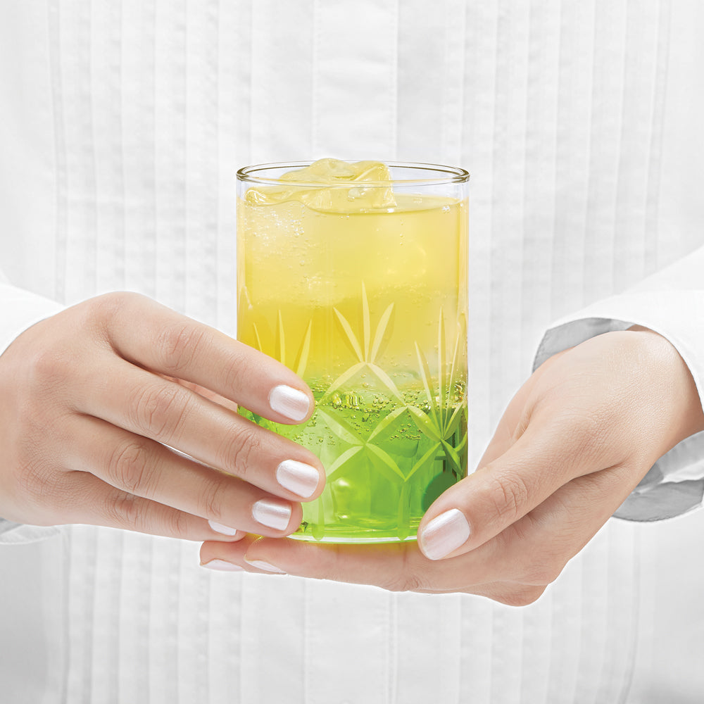 Meadow Glass Tumbler Set
