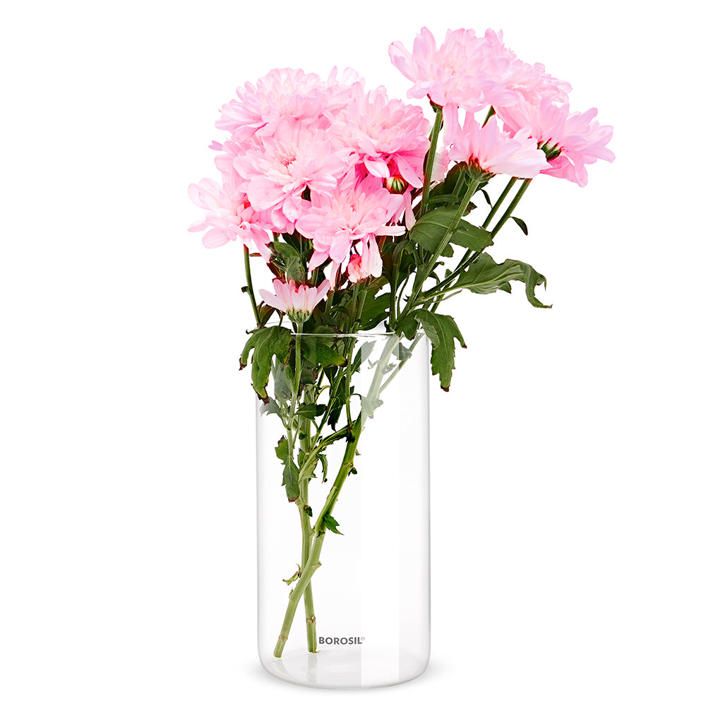 Borosil Glass Vase
