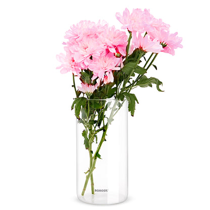 Borosil Glass Vase