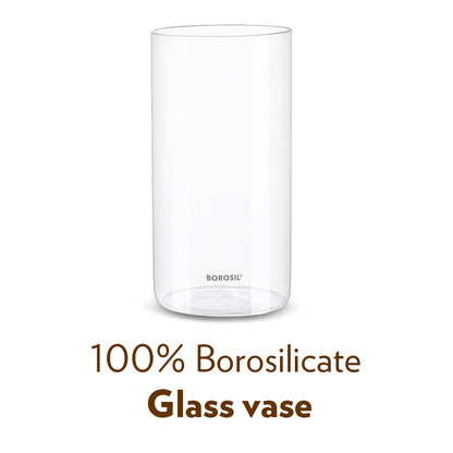 Borosil Glass Vase