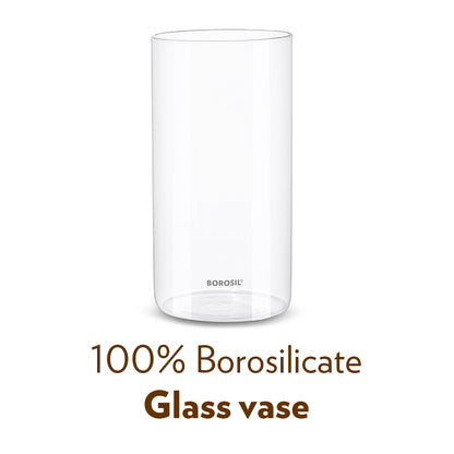 Borosil Glass Vase