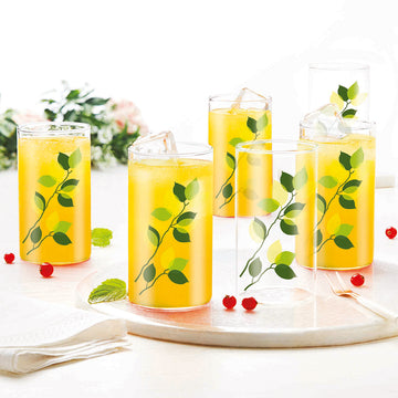 Borosil Vision Green Leaves Glass, Set of 6