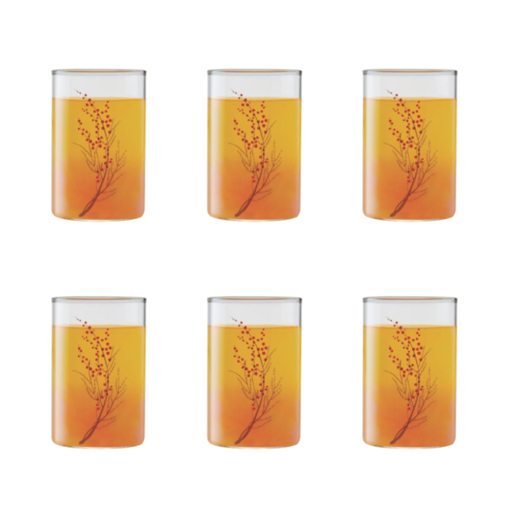 Vision Glass Cherry Medium Tumbler Set