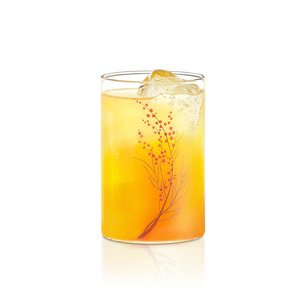 Vision Glass Cherry Medium Tumbler Set