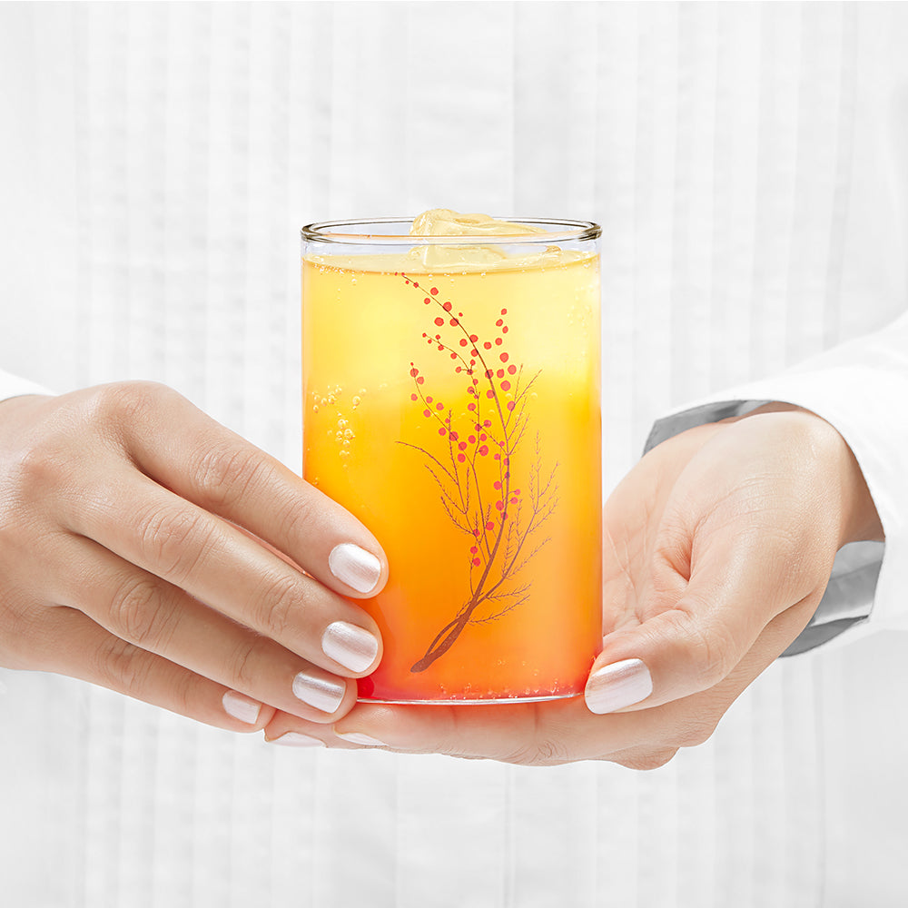 Vision Glass Cherry Medium Tumbler Set