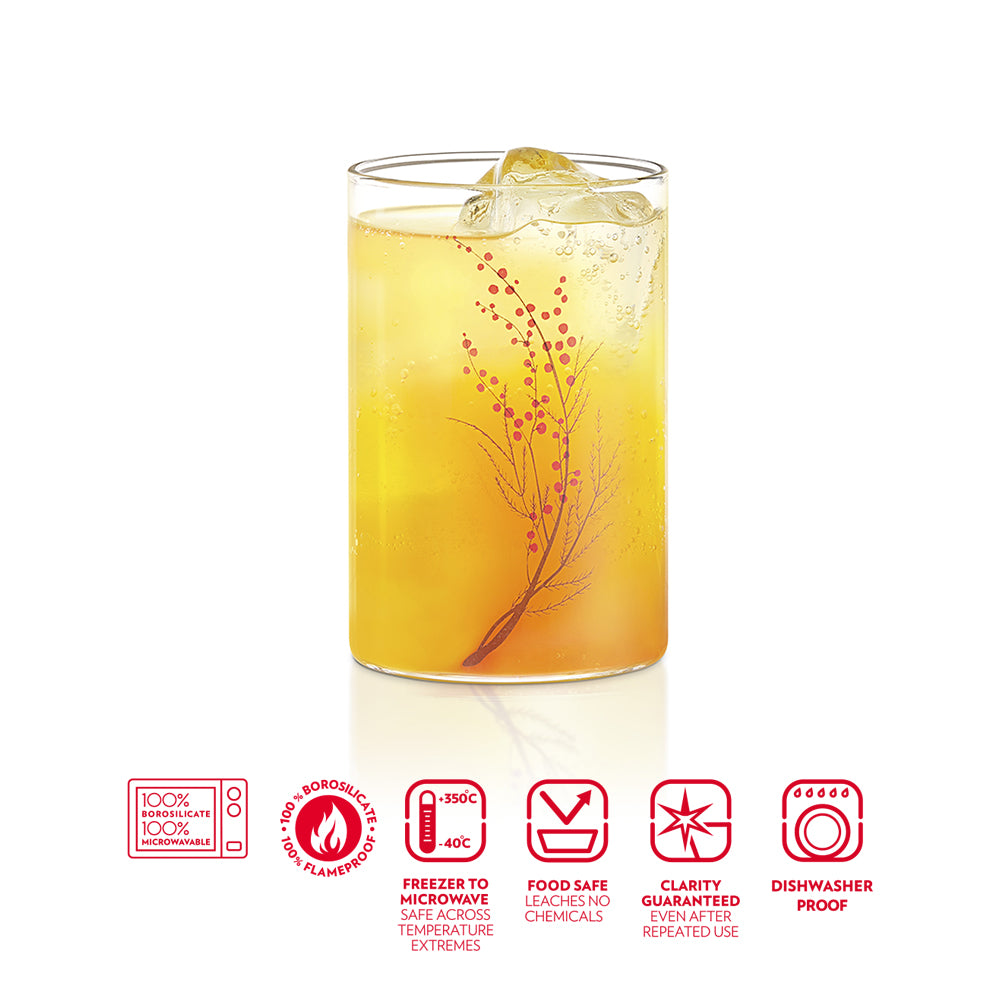 Vision Glass Cherry Medium Tumbler Set
