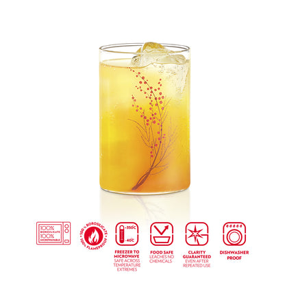 Vision Glass Cherry Medium Tumbler Set