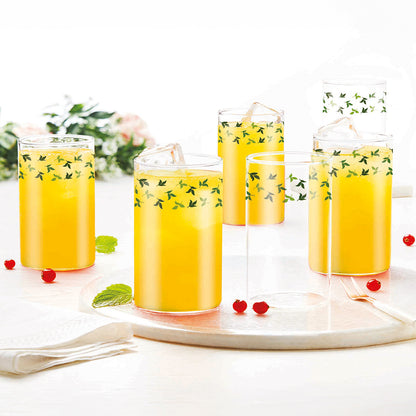 Borosil Sage Glass Set of 6, 295 Mld