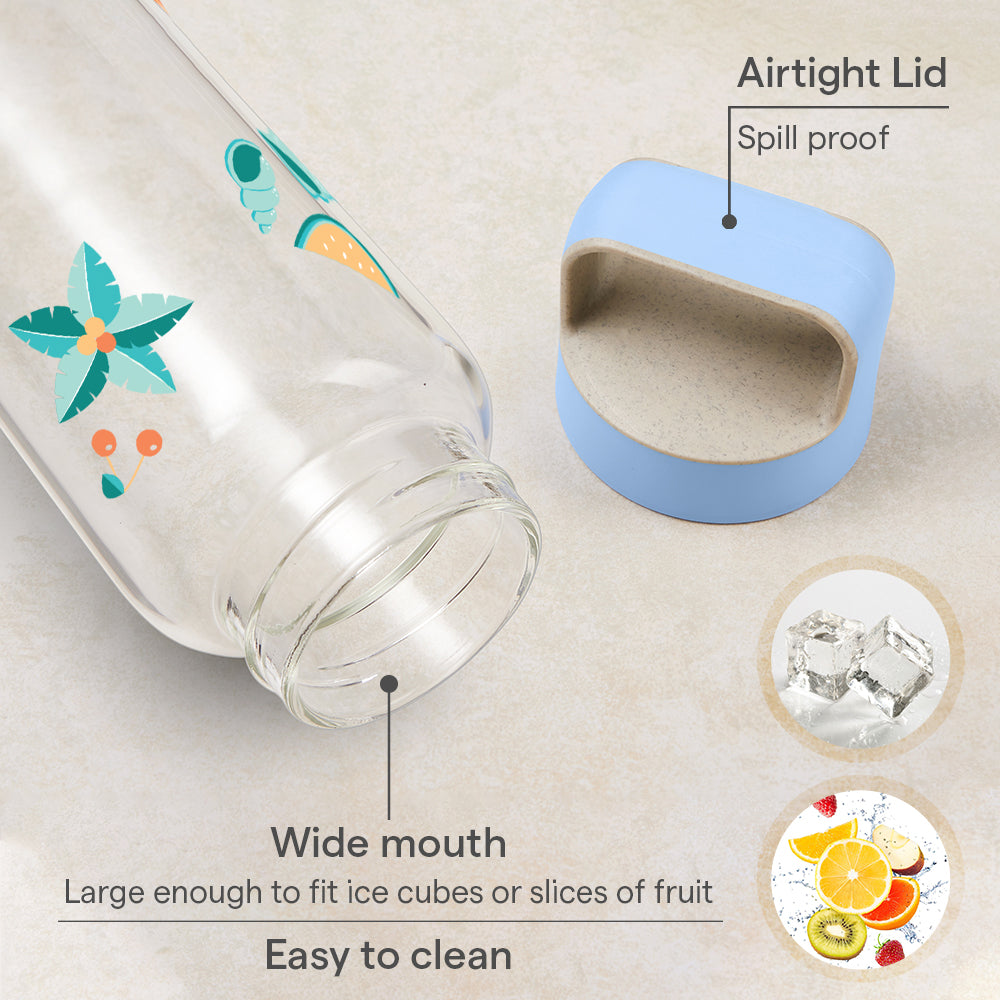 Borosil Tropica Glass Bottle w Husk Lid