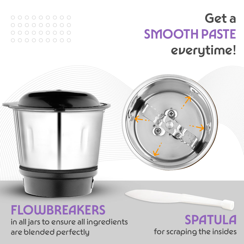 Borosil Silverline RG 600W Mixer Grinders