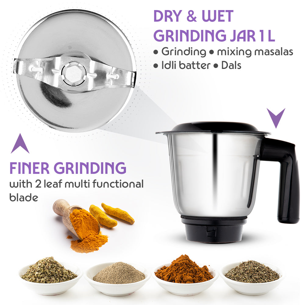 Borosil Silverline RG 600W Mixer Grinders