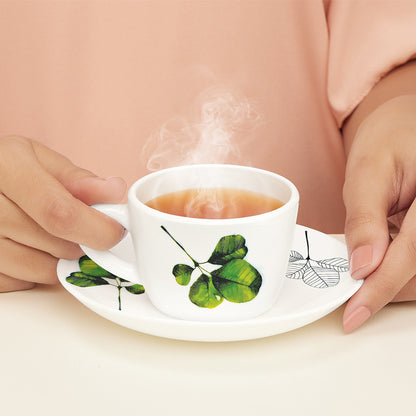 Larah by Borosil Oval Cup n Saucer Set 140 ml x 12