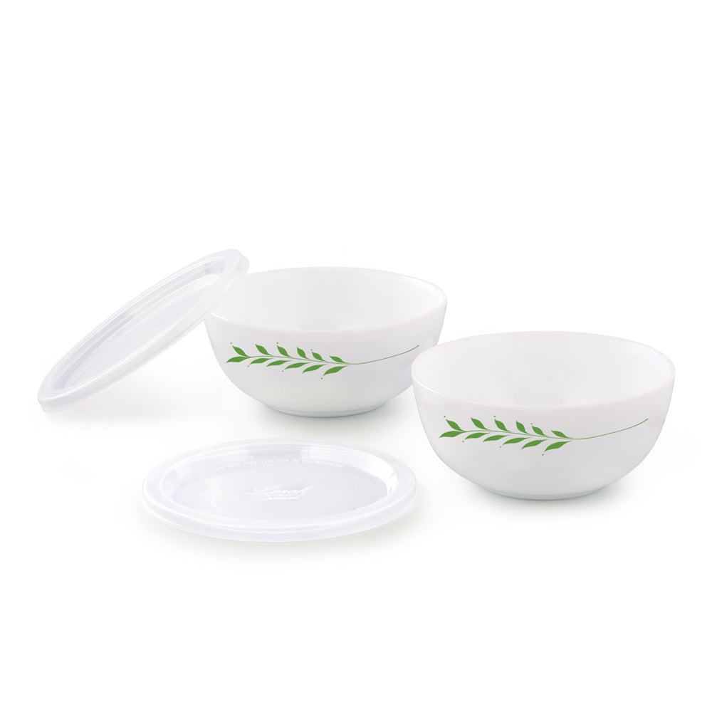 Larah by Borosil Botanica Serve n Store 2 pc Set