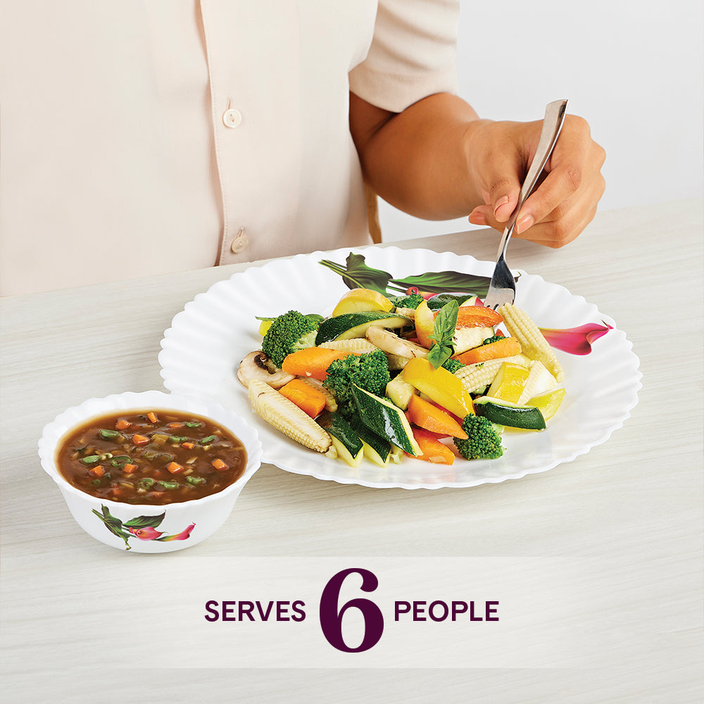 Larah by Borosil Stargazer Dinner Set 44 pc Set: Serves 8