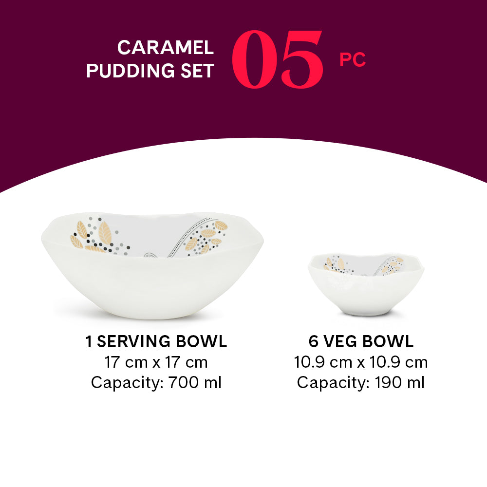 Larah by Borosil Caramel Pudding Set 5 pc Set (Square)