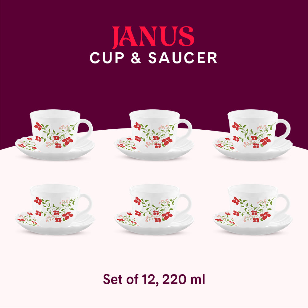 Larah Janus Cup n Saucer Set