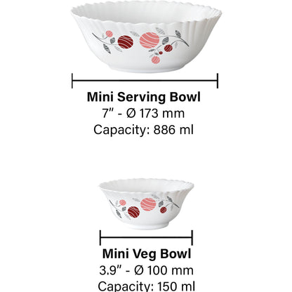 Larah by Borosil Dahlia 5 pc Pudding Set