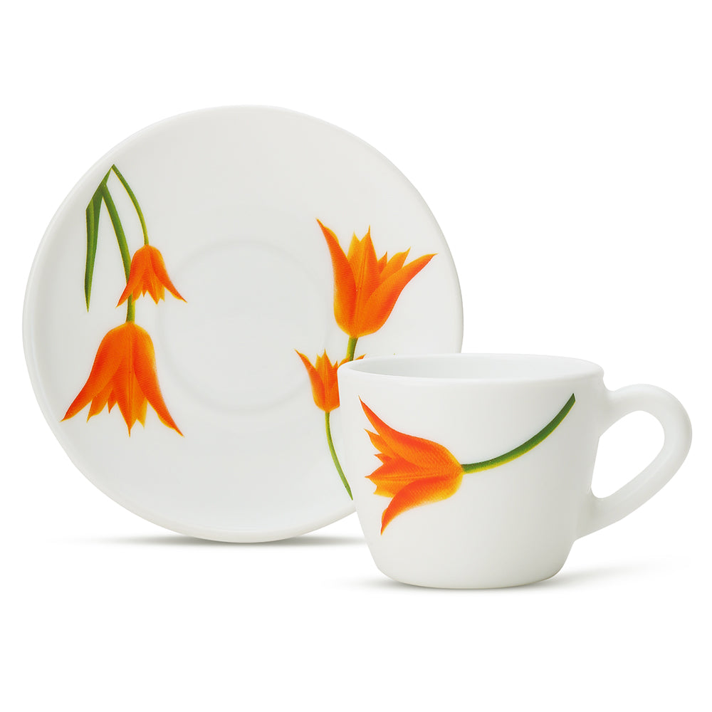 Larah by Borosil Firefly Cup n Saucer Set 90 ml x 12