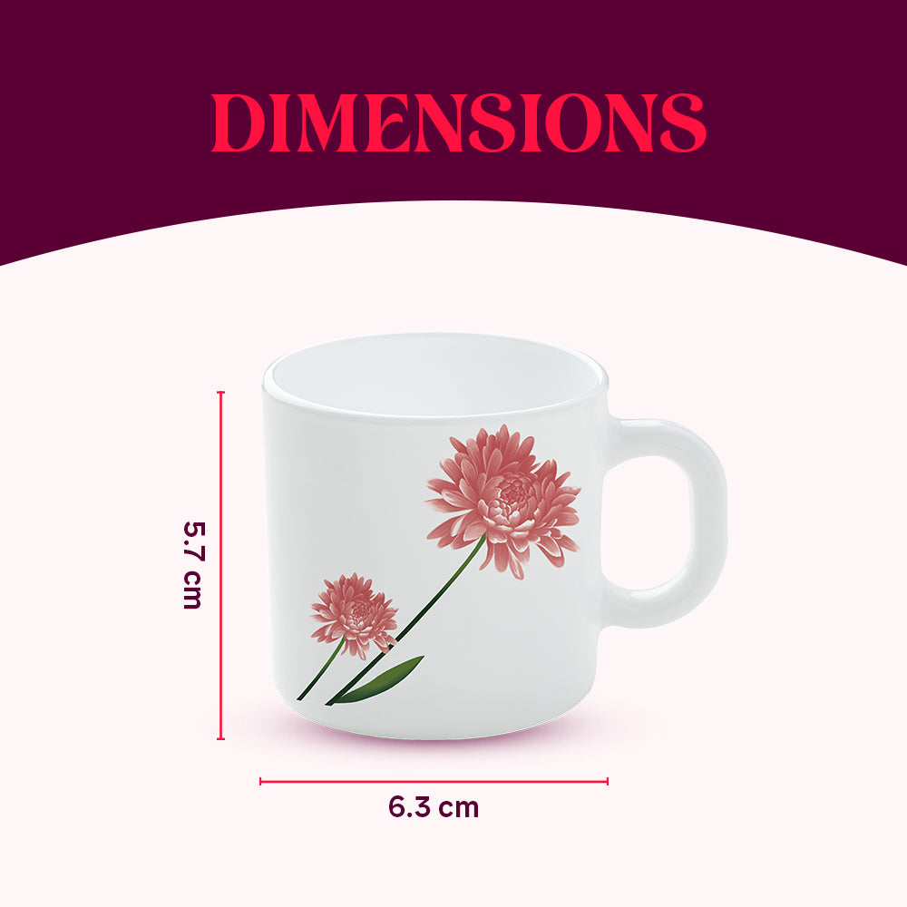 Larah by Borosil Nargis Mug Set 100 ml x 6