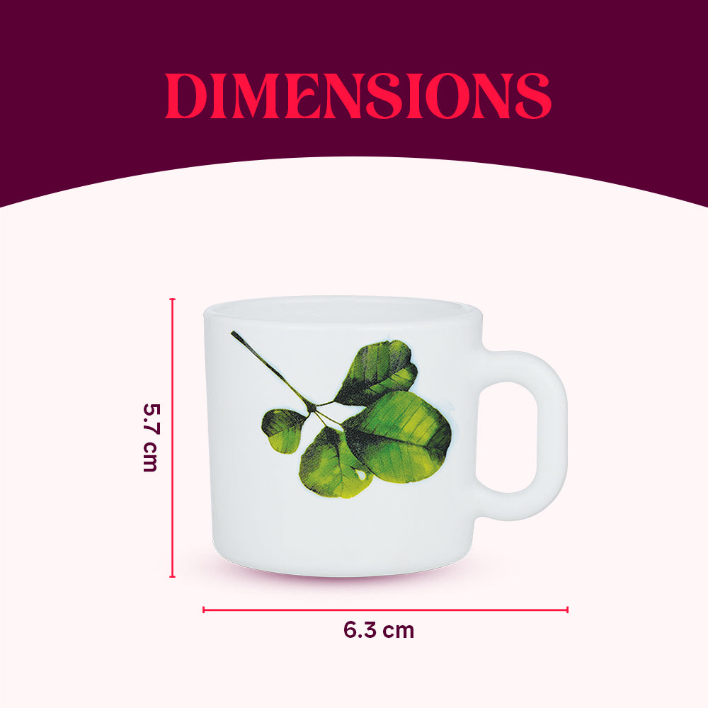 Larah by Borosil Oval Mug Set 100 ml x 6