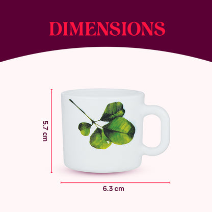 Larah by Borosil Oval Mug Set 100 ml x 6