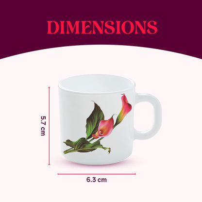 Larah by Borosil Stargazer Mug Set 100 ml x 6